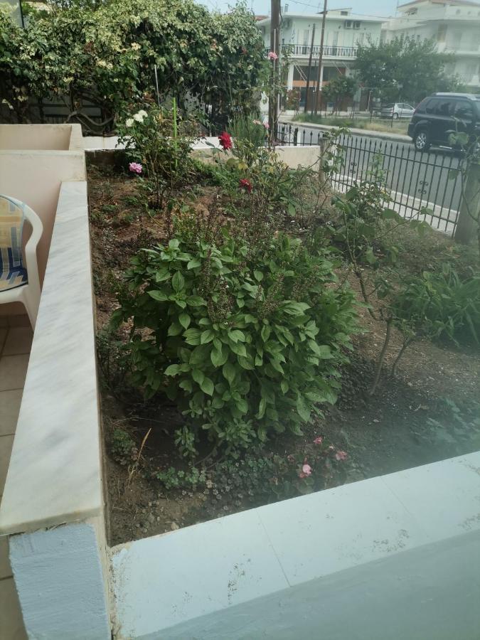 Spitaki Mou Villa Kamena Vourla Bagian luar foto